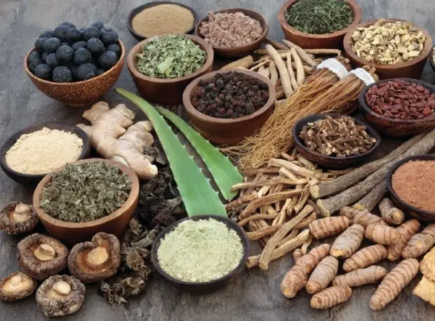 Why Traditional Ayurveda Still Works